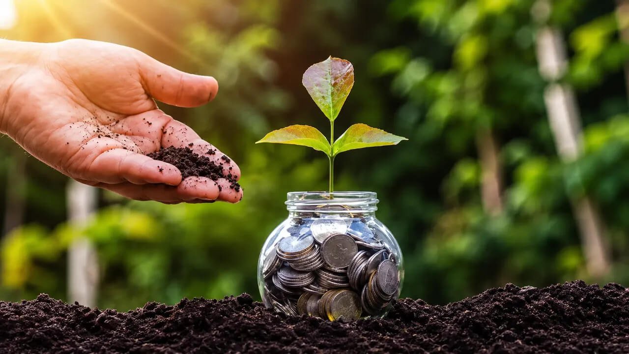 Odisha Launches Free Financial Market Training for College Students to Boost Employability
